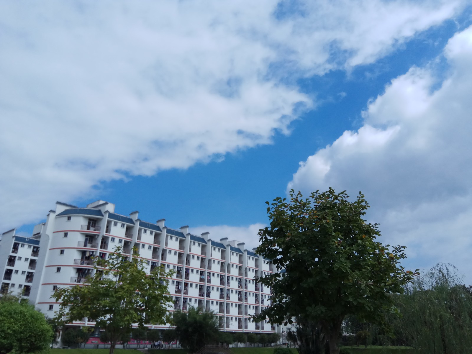 1516346684997993.jpg 1516346684997993.jpg