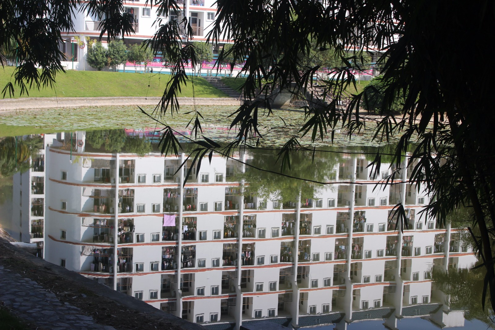 1516346685102893.jpg 1516346685102893.jpg