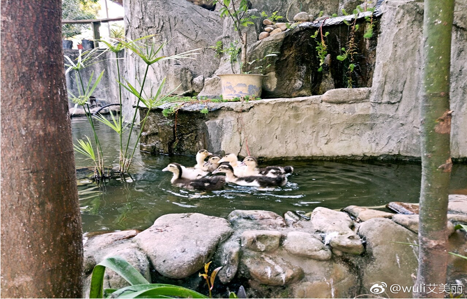 1516346687844885.png 1516346687844885.png