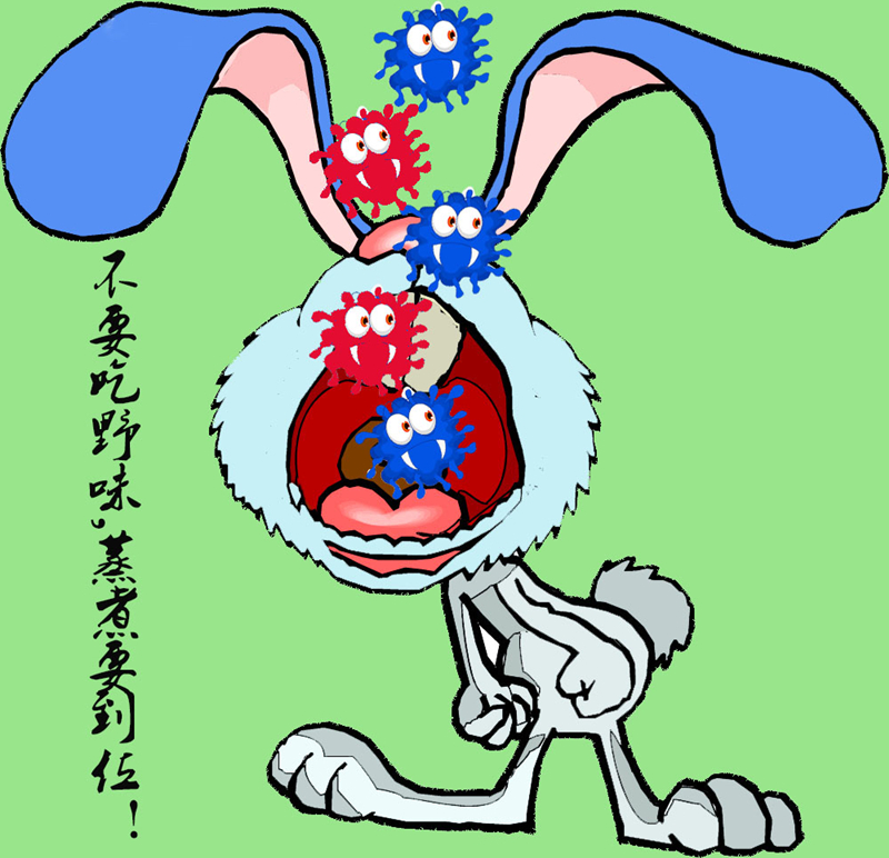 19数媒4班 黄丽君.jpg